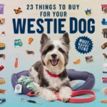 23 Things to Buy Westie Dog in india