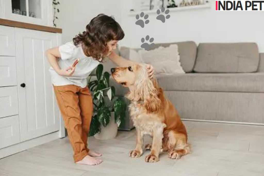 Controlling your dog's access to indoor spaces