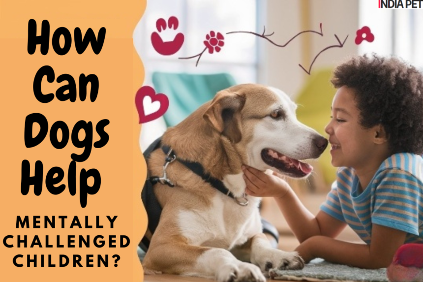 How Can Dogs Help Mentally Challenged Children