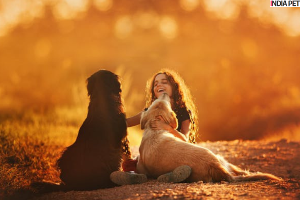 Mentally Challenged Children with Dog